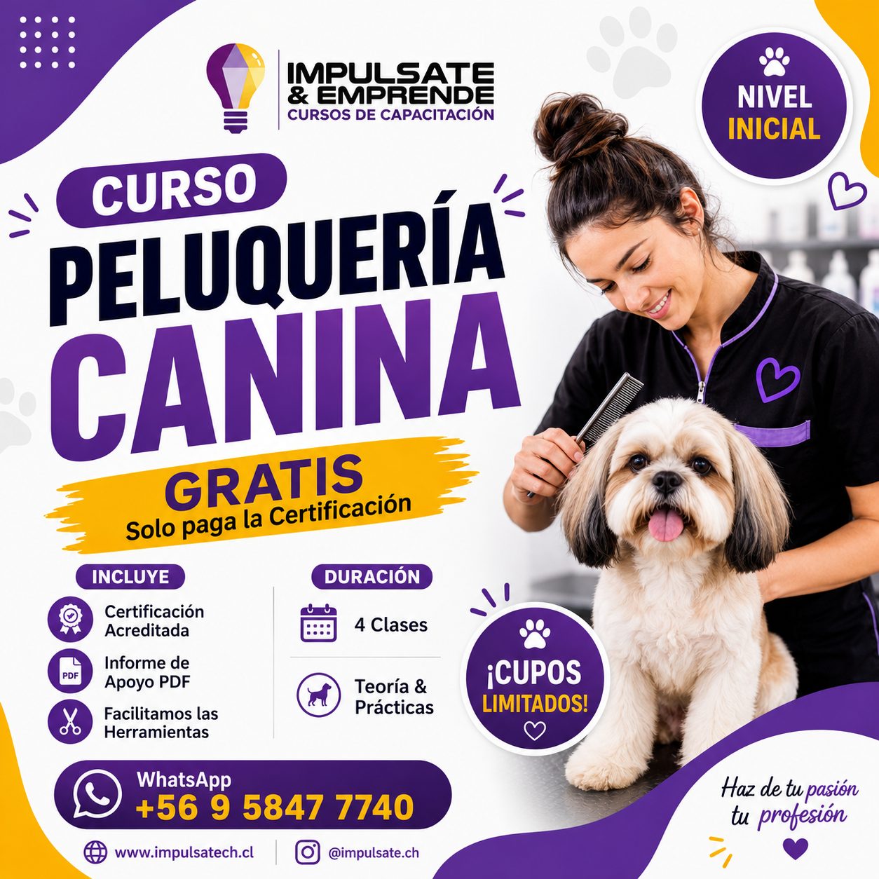CURSO PELUQUERÍA CANINA (Grátis)