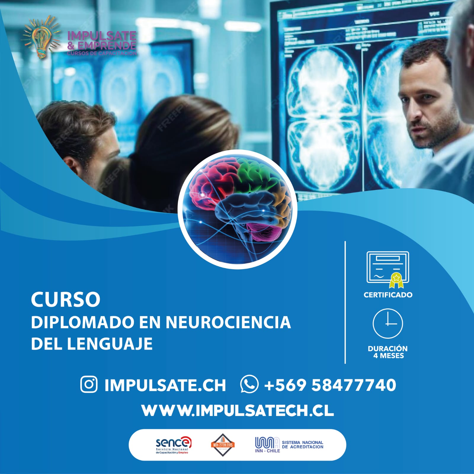 Diplomado Neurociencia Del Lenguaje