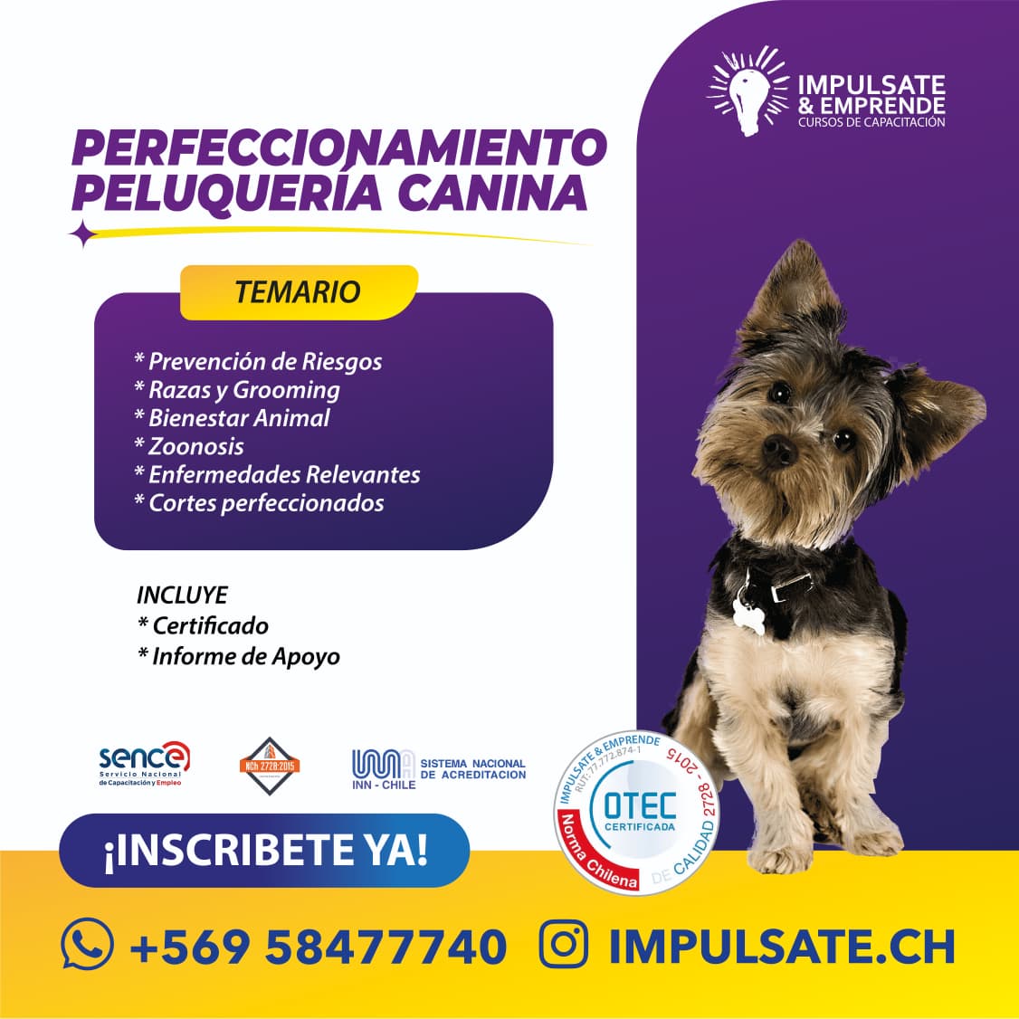 Foto 14